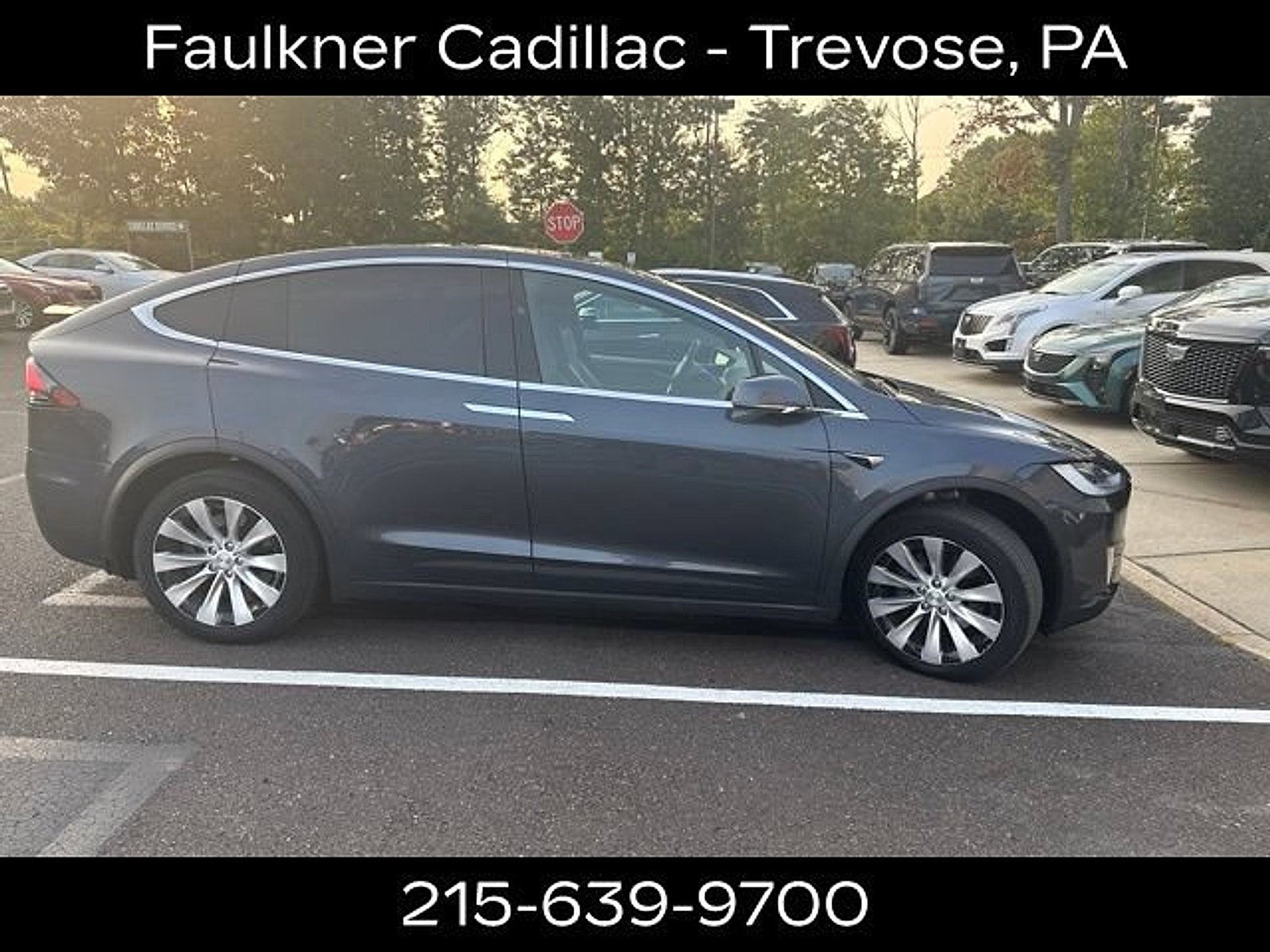 2020 Tesla Model X Long Range