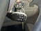 2010 Toyota Corolla 4dr Sdn Auto LE (Natl)