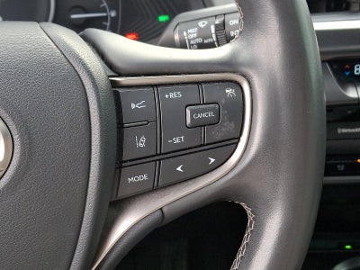 2021 Lexus UX 250h AWD