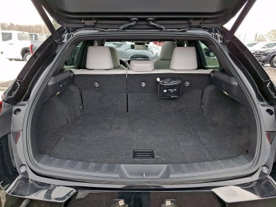 2021 Lexus UX 250h AWD