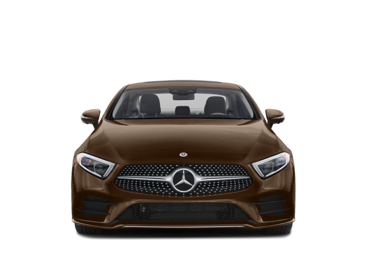 2019 Mercedes-Benz CLS CLS 450 4MATIC® Coupe