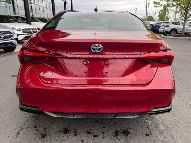 2019 Toyota Avalon Hybrid XLE (Natl)