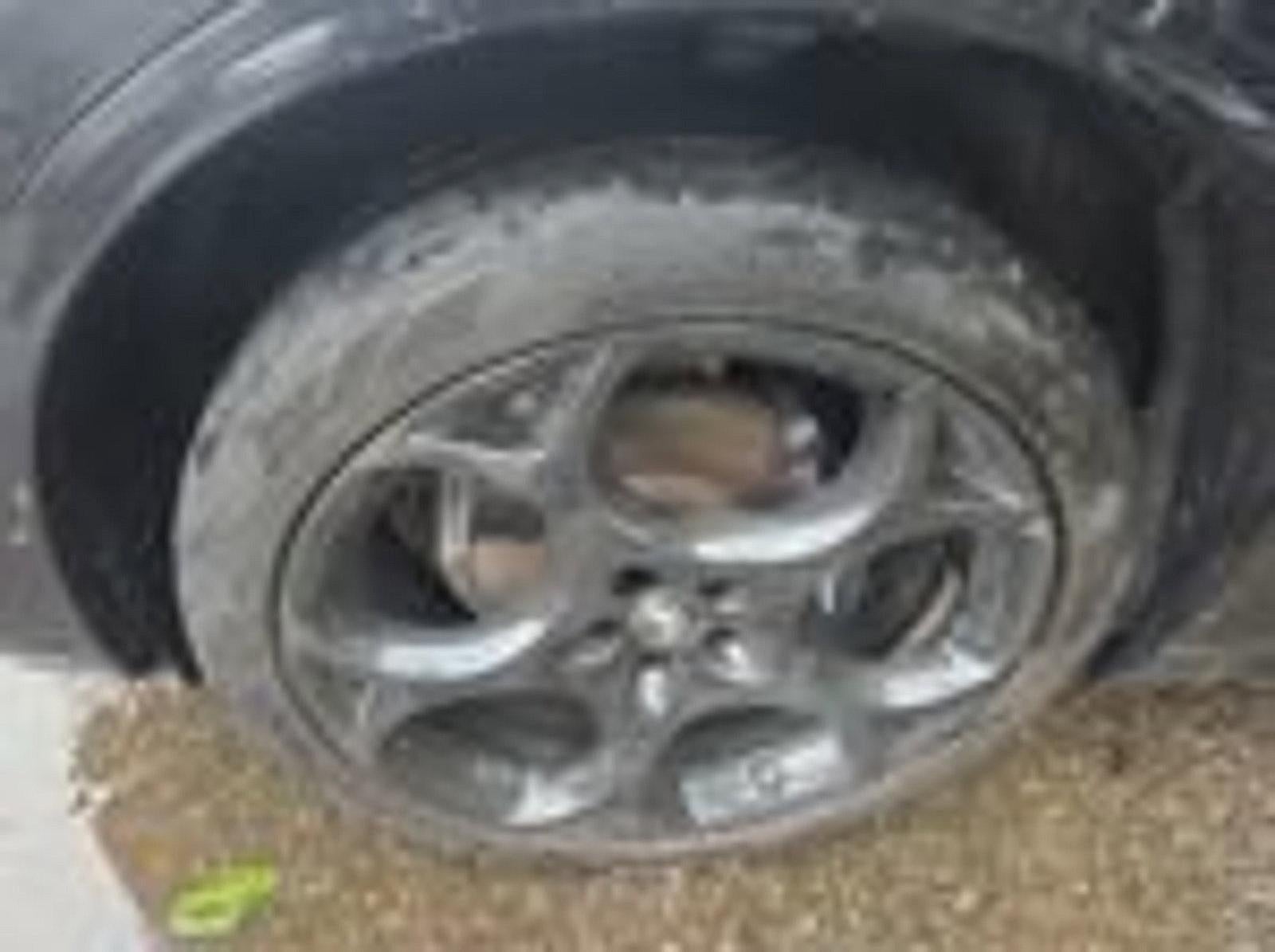 2023 Alfa Romeo Stelvio Estrema AWD