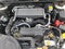 2025 Subaru Outback Wilderness AWD