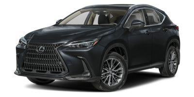 2024 Lexus NX 350 AWD