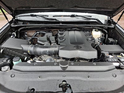 2021 Toyota 4Runner SR5 Premium 4WD (Natl)