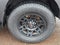 2021 Toyota 4Runner SR5 Premium 4WD (Natl)