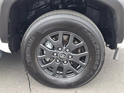 2025 Toyota 4Runner SR5 4WD (GS)